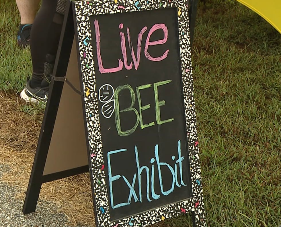 The live bee exhibit offered guests more information on the steps it takes to raise and...