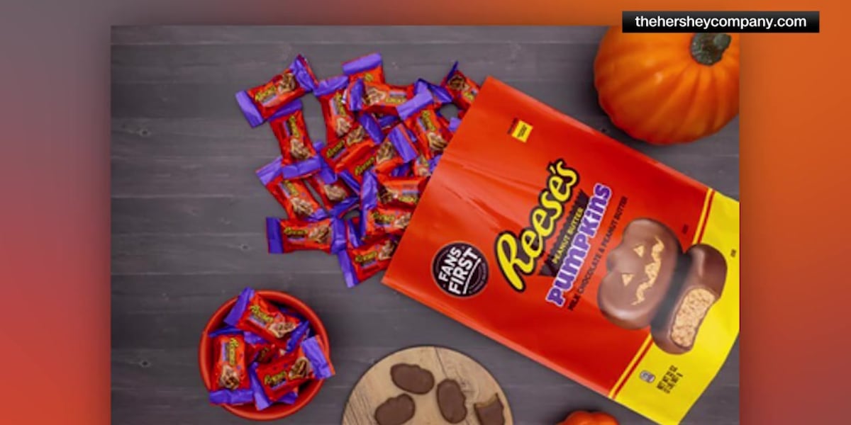 Packaging Disclaimer Liability | How Confectionery Sellers Can Avoid $5M+ Lawsuits