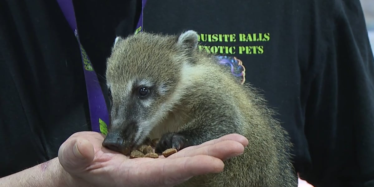 CF Exotic Pet Expo returns to Jackson